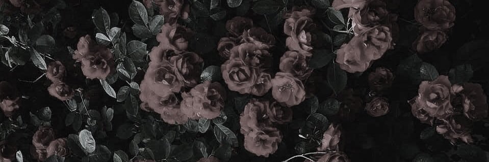 Pinterize's profile banner image