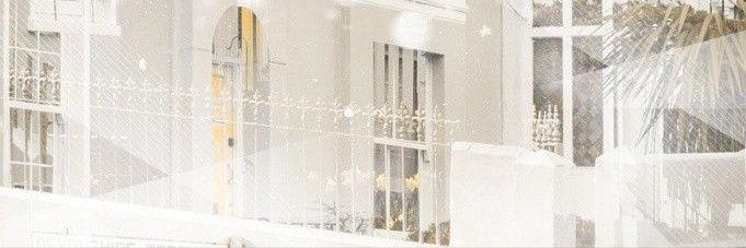 𝓝. banner
