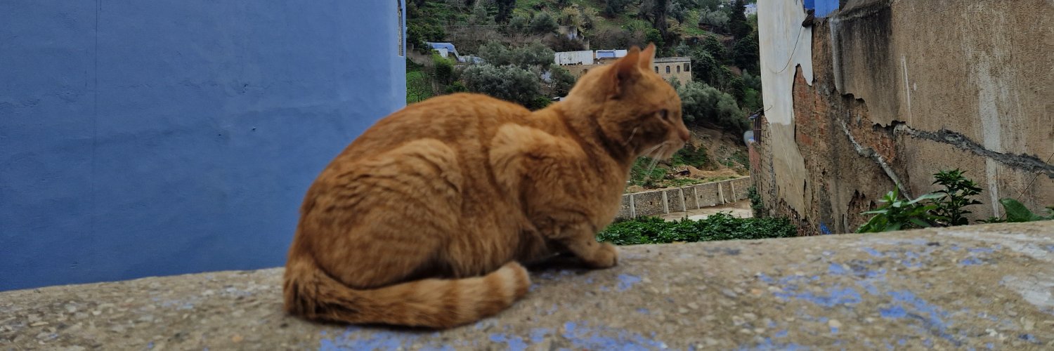 KarakolKey's profile banner image