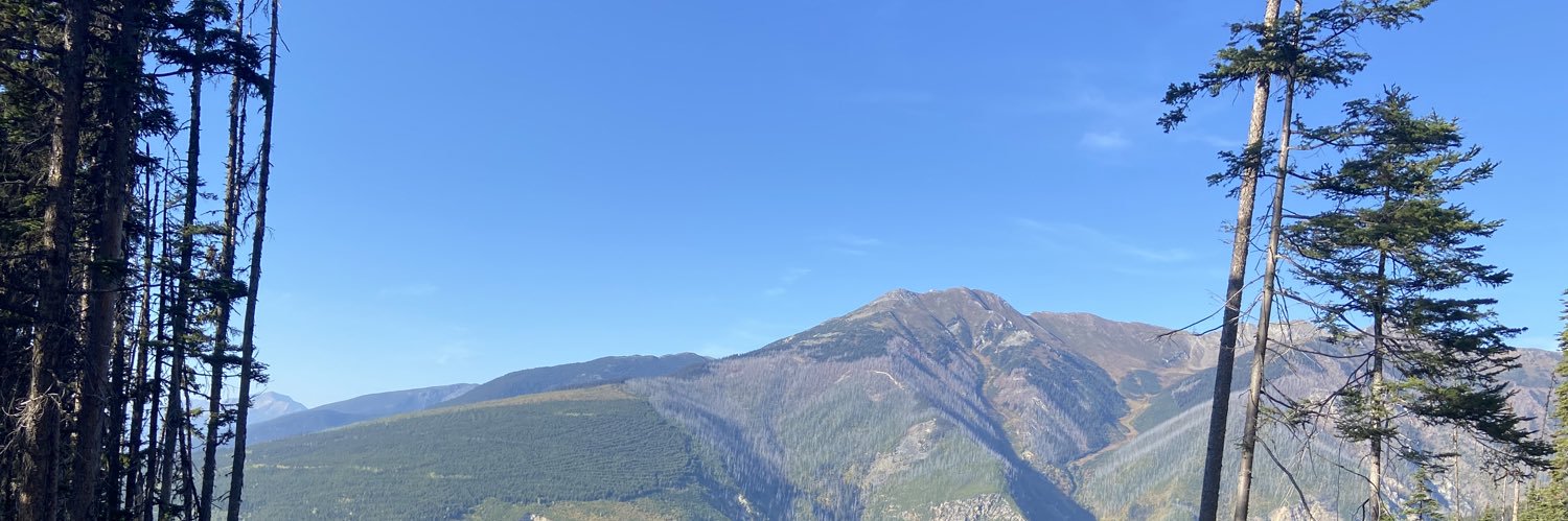 AverageRookie's profile banner image