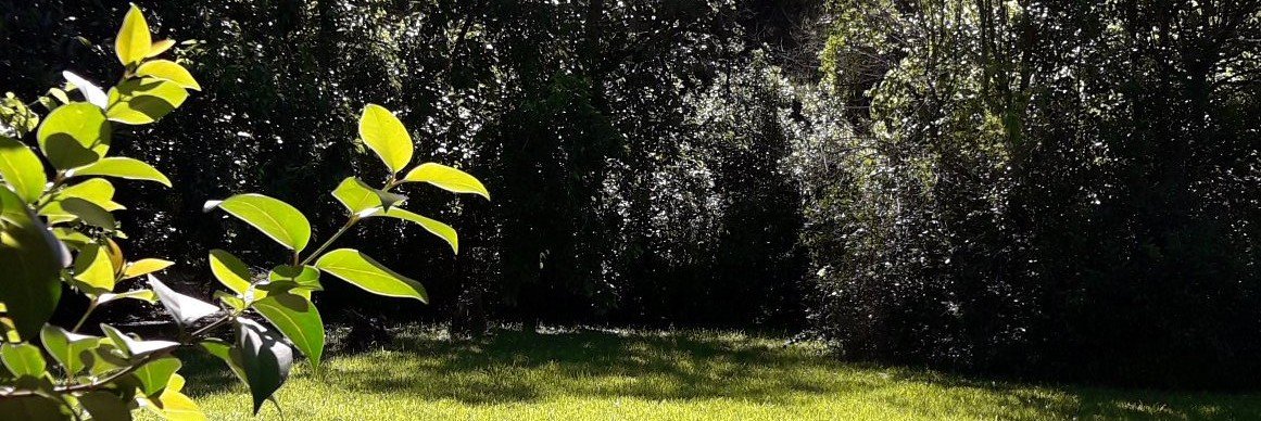 javitus68's profile banner image