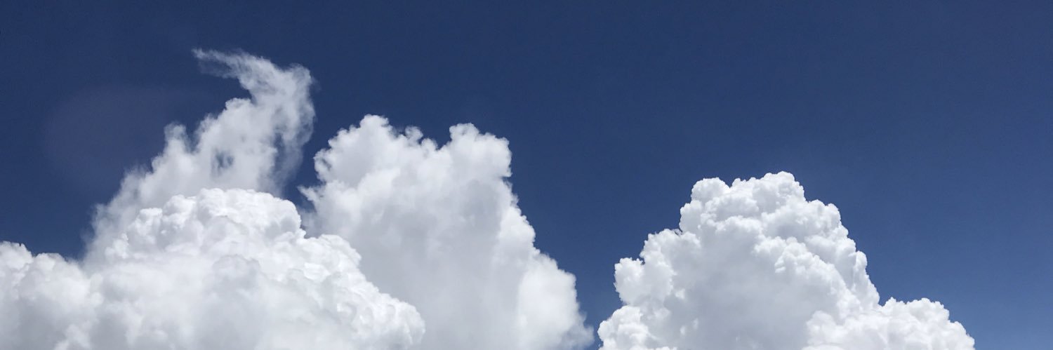 knottaflower's profile banner image