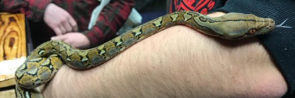 legacy_reptiles Profile Banner