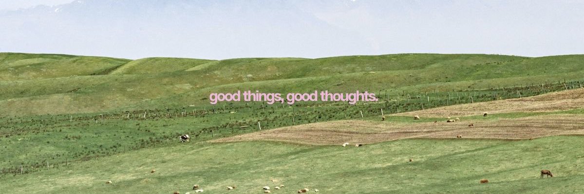 aria 🪭 banner