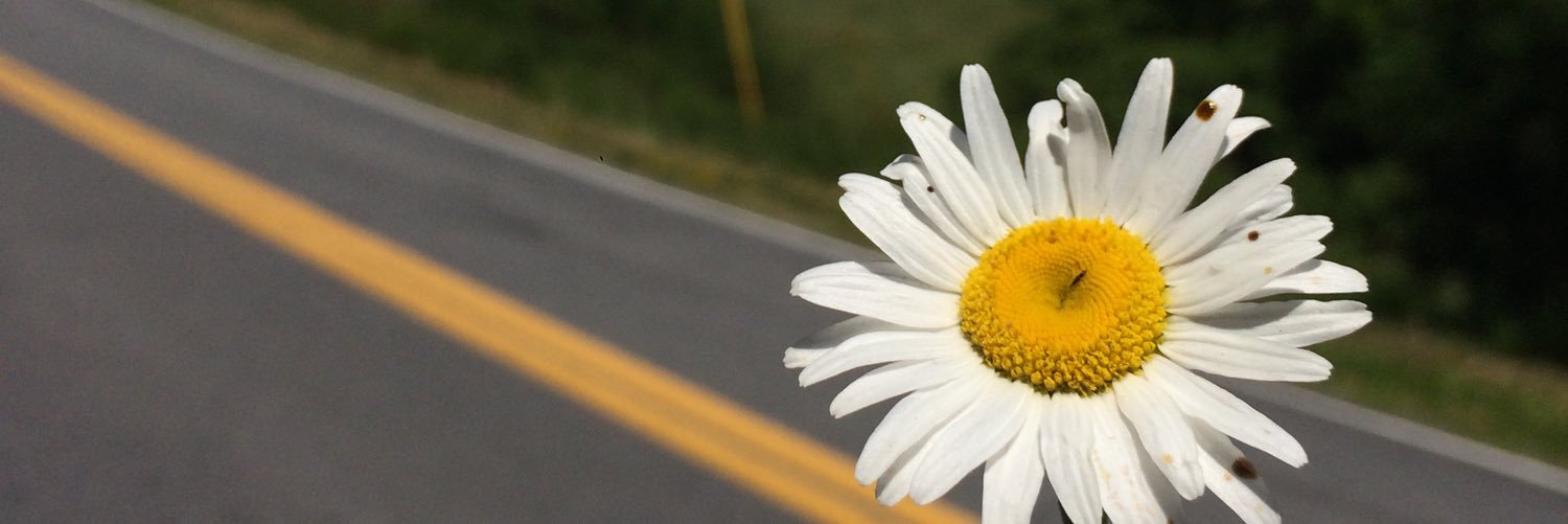 Cathleenmt's profile banner image