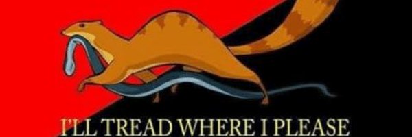 holonet242 Profile Banner