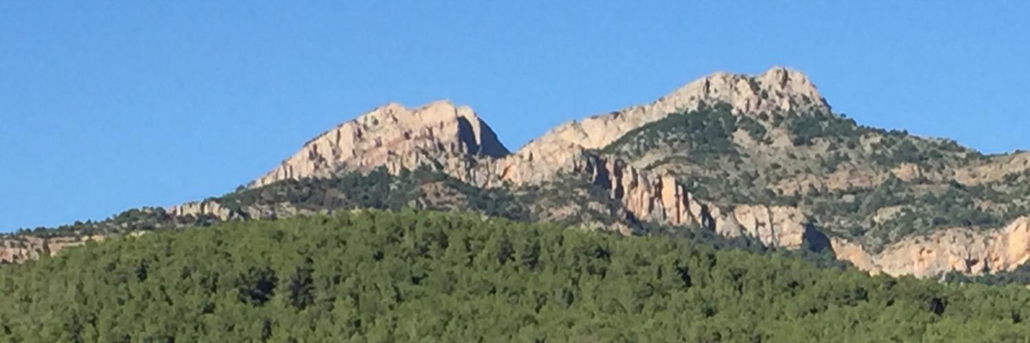 Lupegarol's profile banner image