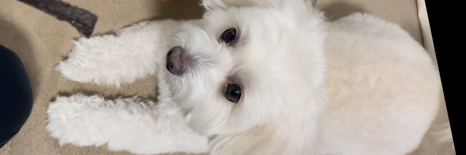 croitur's profile banner image