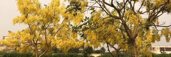 narasimhan_sr Profile Banner