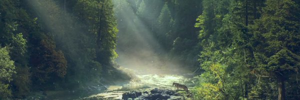 jersmpower Profile Banner