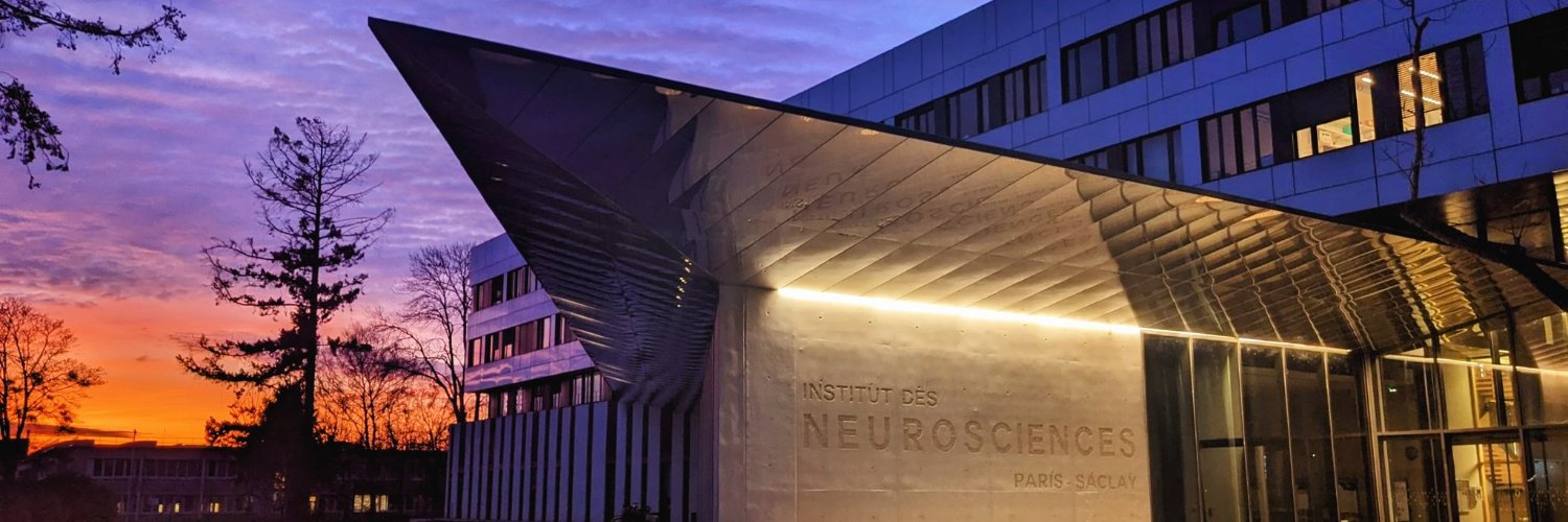 Paris-Saclay Institute of Neuroscience's banner