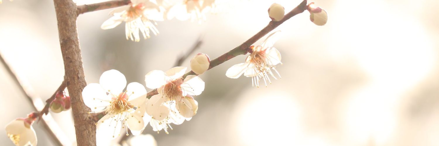 ume_omu's profile banner image