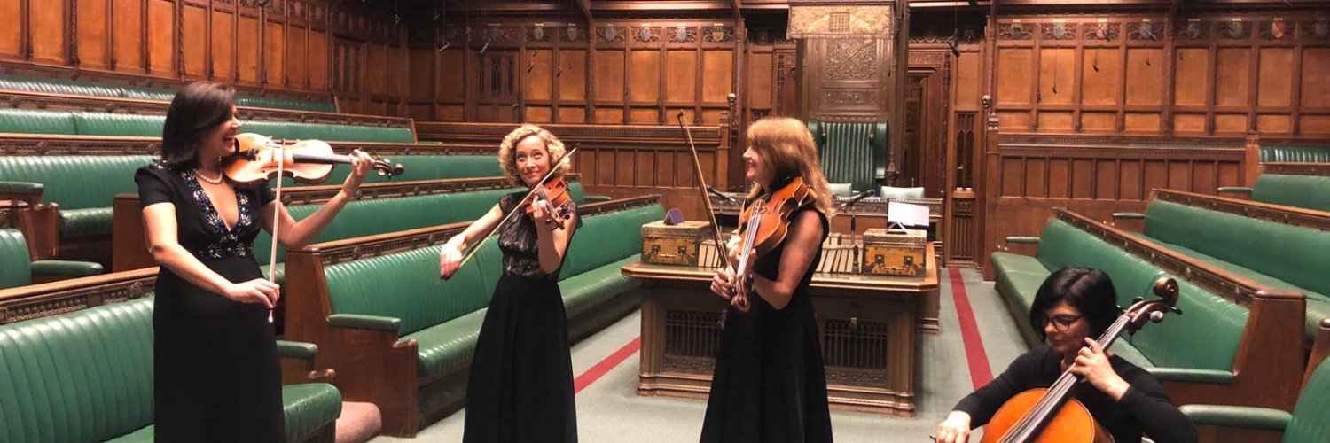 The Statutory Instruments - Parl'y String Quartet banner