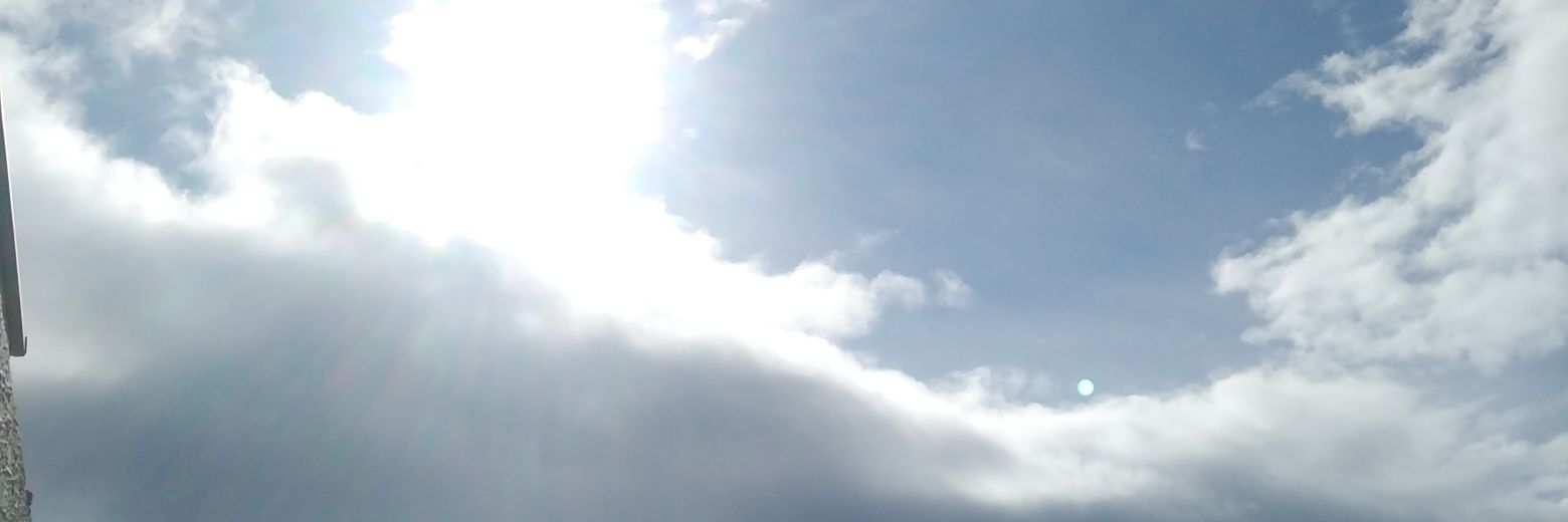 lolaleytonmunoz's profile banner image