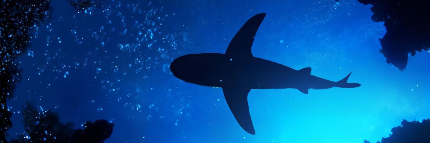 ᑕᗷ banner