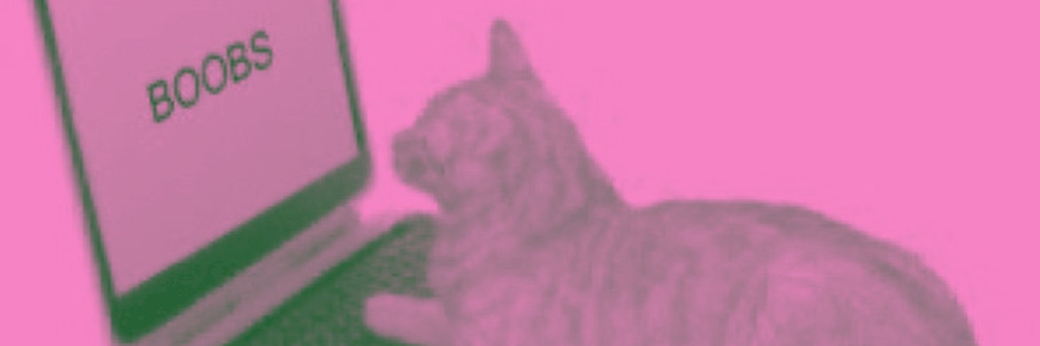 claire waldorf 🐈‍⬛ banner