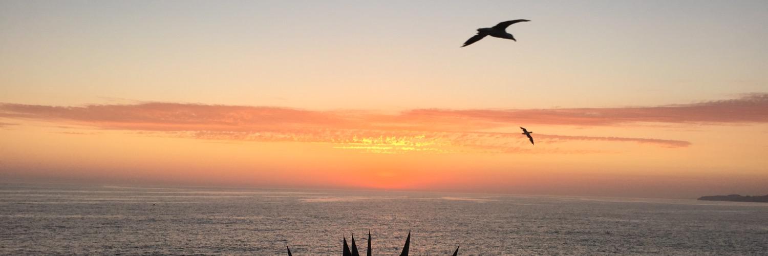 shupperbill's profile banner image