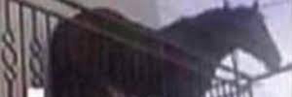 openogility Profile Banner