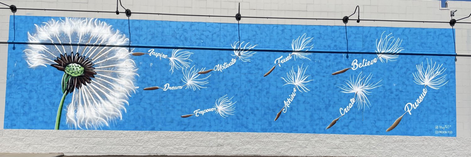 Becky Schwartz banner