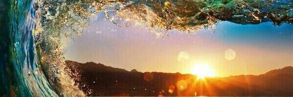 noahseitz_ Profile Banner