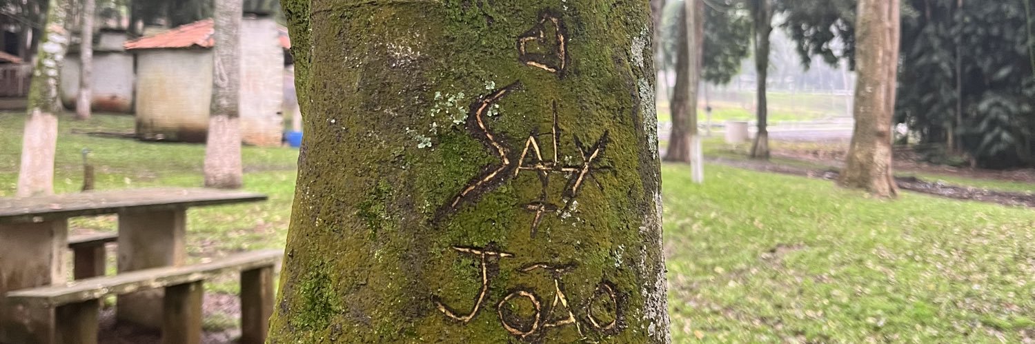 Salyanebb's profile banner image