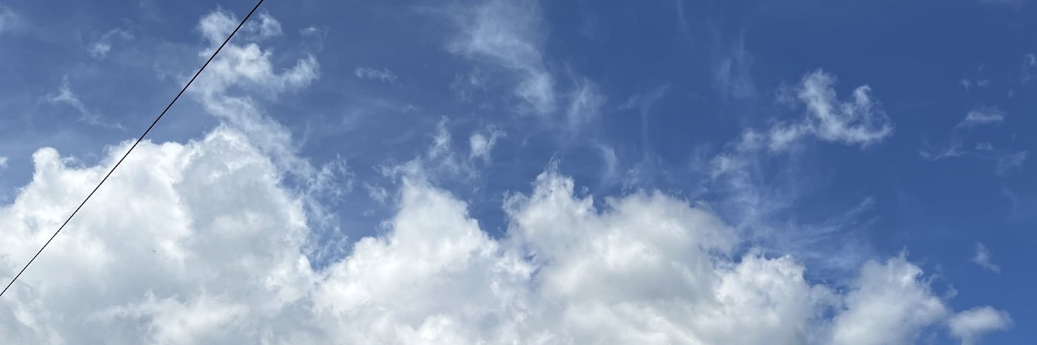 patdeniseb's profile banner image