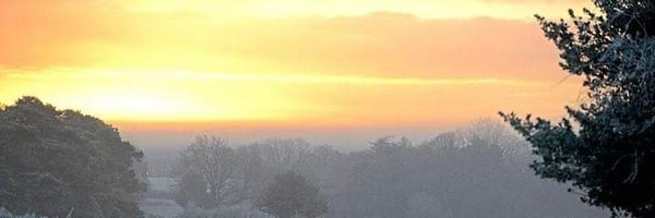 AlisonTarrant Profile Banner