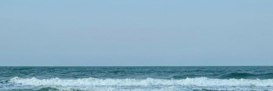 Bonet banner