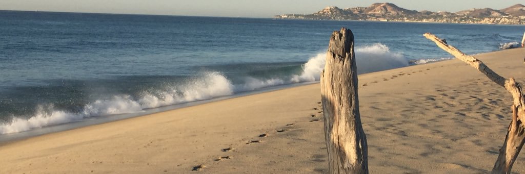s_galen's profile banner image