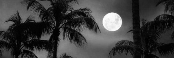 Venti__Poet Profile Banner