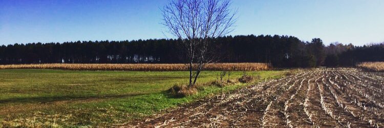 megan_roth's profile banner image