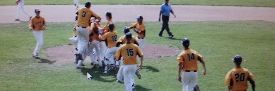 Haslett Baseball banner