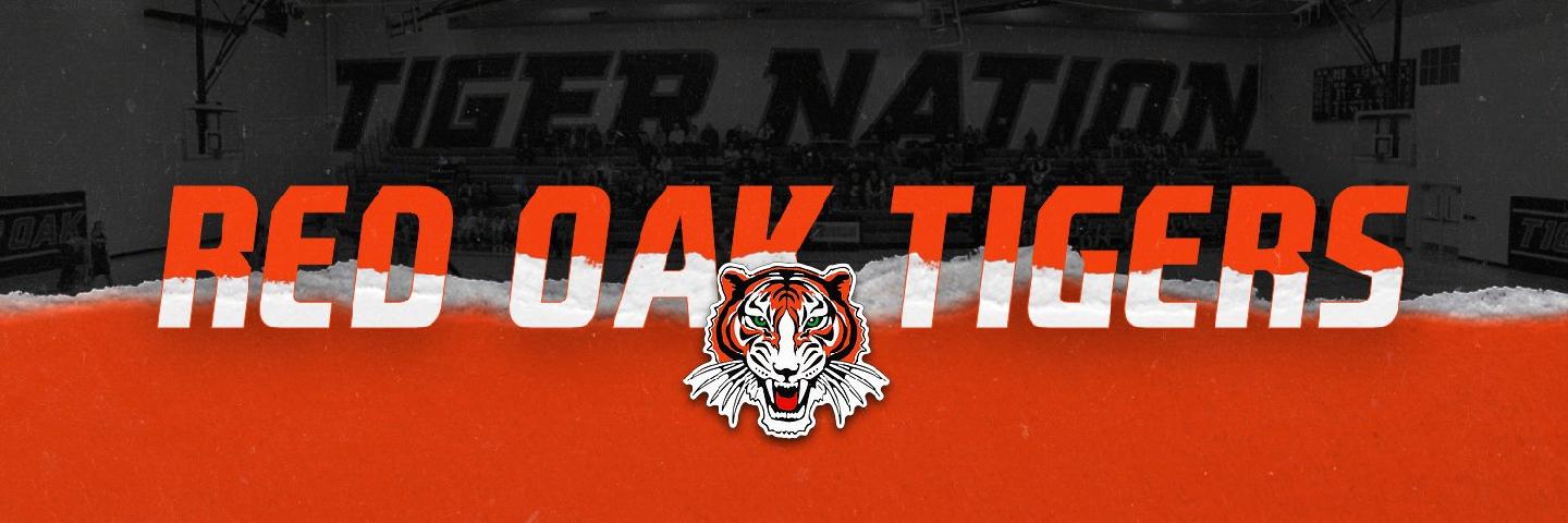 ROTigerNation's profile banner image