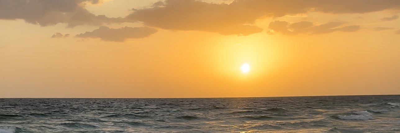 alialyssabaugh's profile banner image