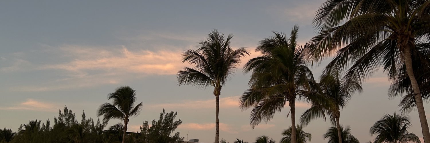 alegb_07's profile banner image