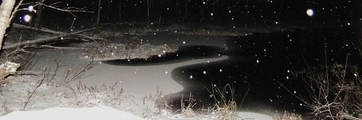 :.*.: ¹¹⁵ banner
