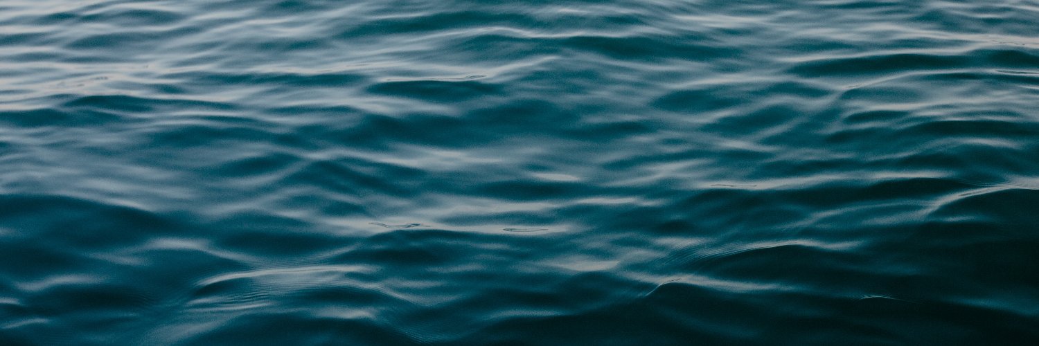 pgp's profile banner image