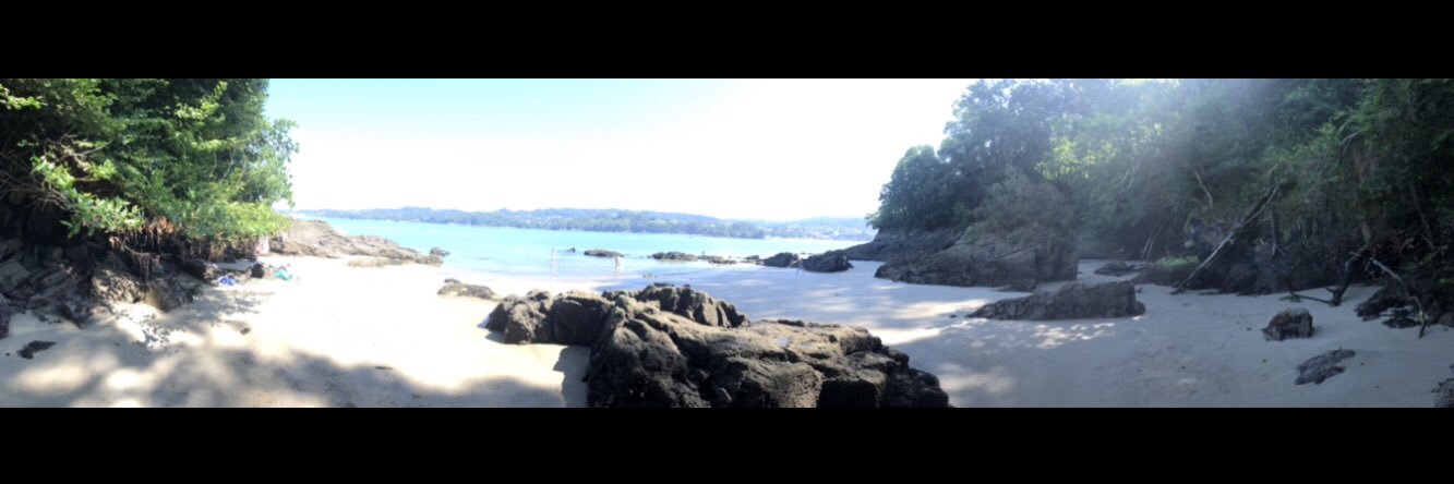 Laura Padilla Angulo banner