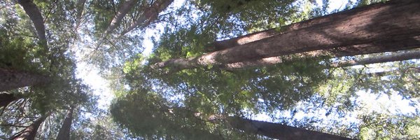 mccarthy_kr Profile Banner