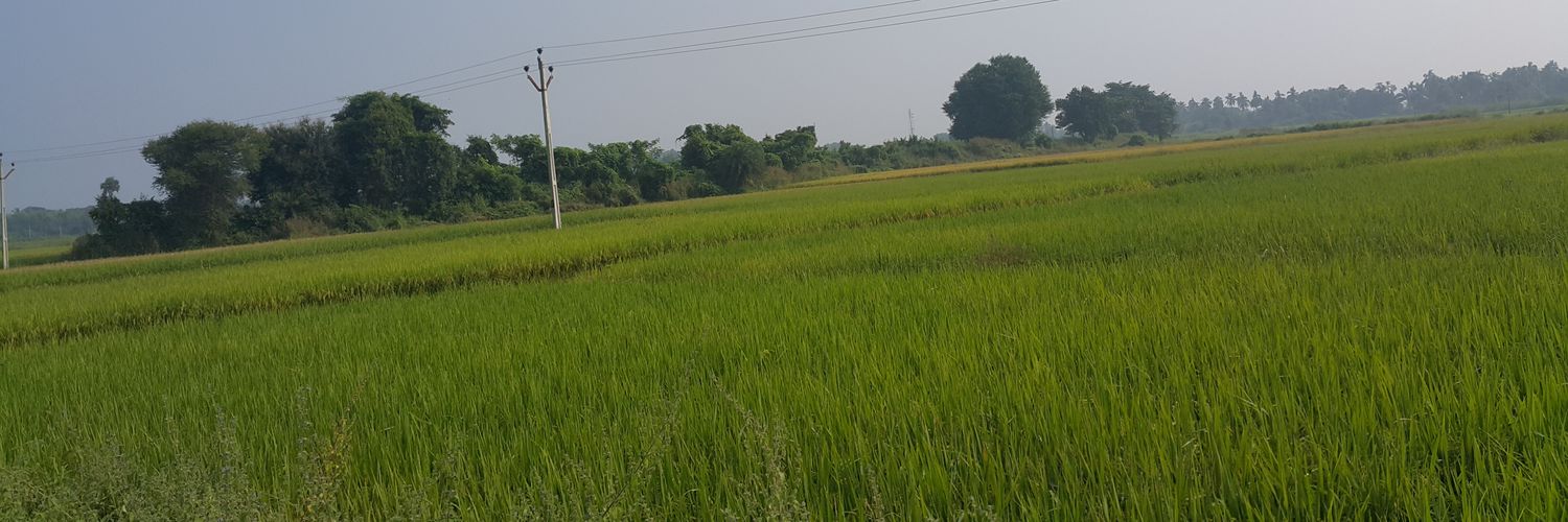 kkvnp's profile banner image