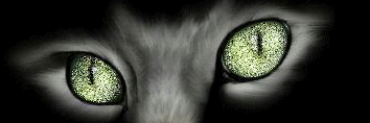 MAMISAURIA banner