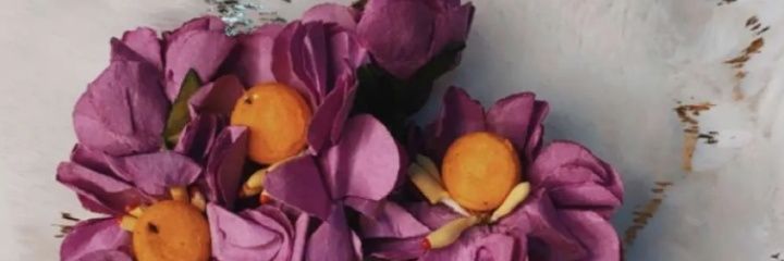 7no__md's profile banner image