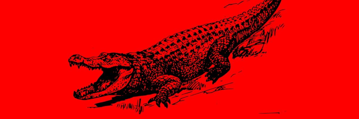 RcruzJr15's profile banner image