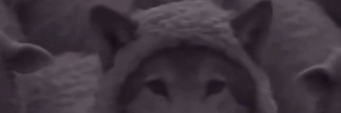 jjwilsn's profile banner image