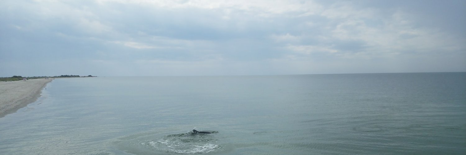 dmytropot's profile banner image