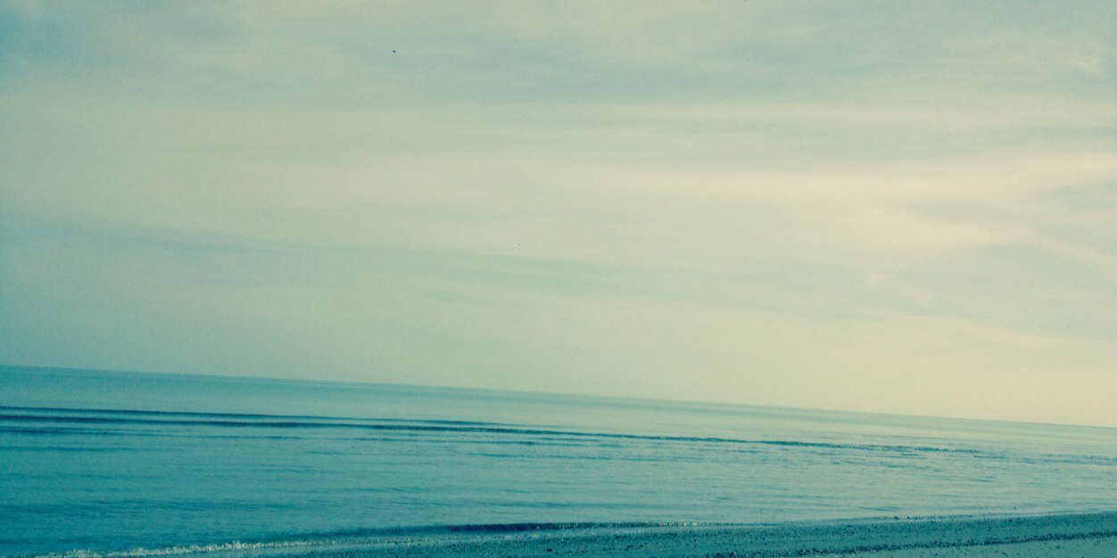 mariariccarda's profile banner image