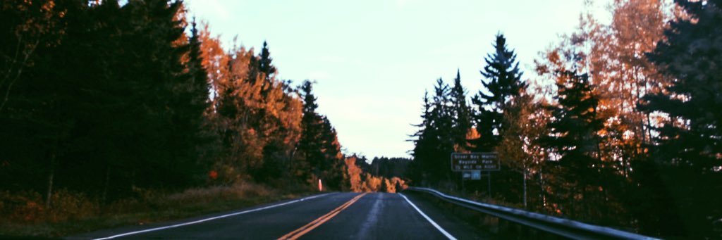 BriStafne17's profile banner image