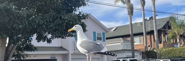 uhhkyra Profile Banner