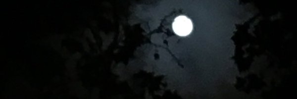 withwoosung Profile Banner