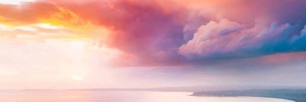 ReinsPhoenix Profile Banner